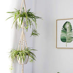 Load image into Gallery viewer, Macrame Handmade Crochet Plant Hangers (4 Sets)
