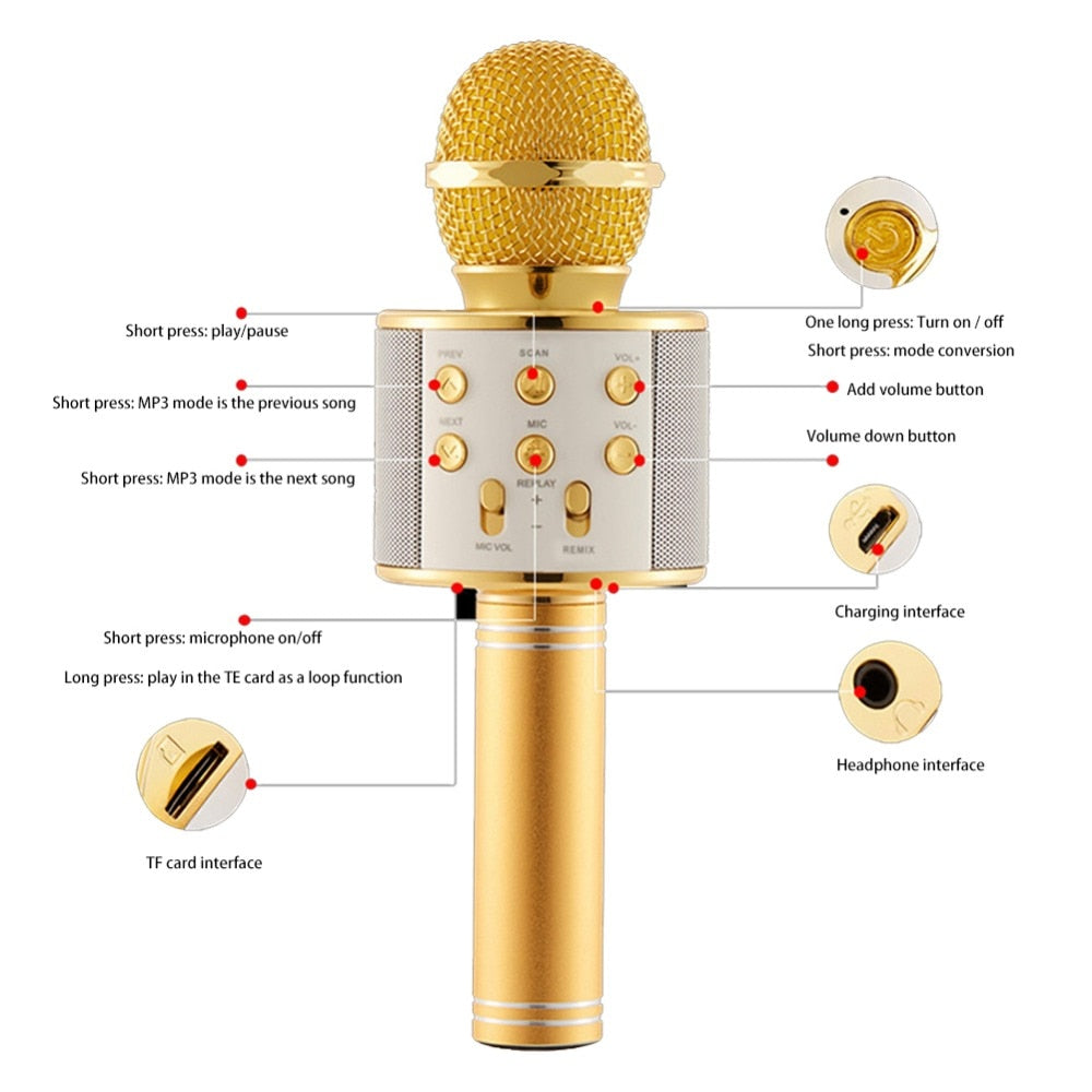 SingJoy Wireless Bluetooth Karaoke Microphone and Speaker